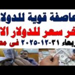 سعر الدولار اليوم | أسعار الدولار اليوم /اسعار الدولار السوق السوداء اليوم في مصر الأربعاء2025/12/31