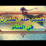 تفسير حلم الطيران في المنام للمتزوجة والعزباء والحامل#youtube #تفسير_الأحلام 