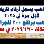 أسعار الذهب اليوم فى مصر عيار 21 سعر الدهب | شاهد اليوم أسعار الذهب اليوم فى مصر عيار 21 | سعر الدهب عيار ٢١ اليوم الثلاثاء 2026/1/20