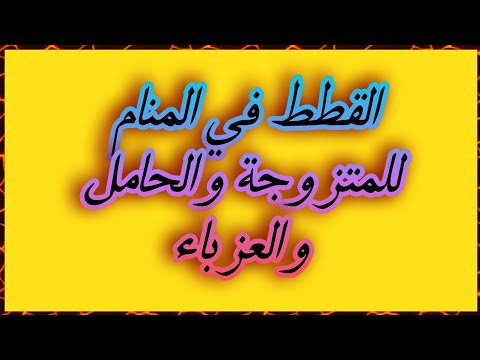 تفسير رؤيا القطط في المنام للمتزوجة والحامل والعزباء     والقطط الملونة