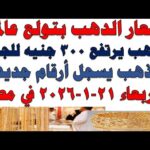 أسعار الذهب اليوم فى مصر عيار 21 | سعر الدهب عيار ٢١ اليوم الأربعاء 2026/1/21