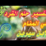 تفسير حلم القرد في المنام لإبن سيرين tefsir ahlam تفسير الأحلام والرؤى #تفسير