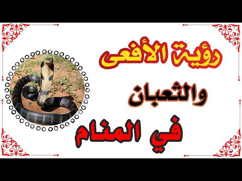 رؤية الأفعى والثعبان في المنام لإبن سيرين tefsir ahlam #تفسير الأحلام والرؤى