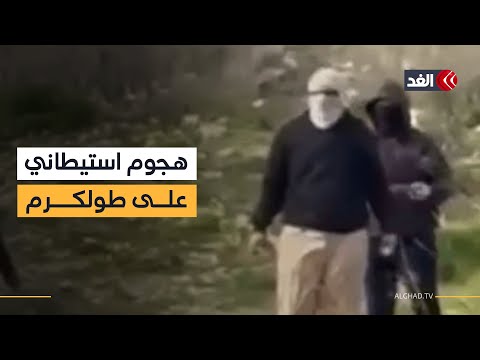 المستوطنون يواصلون هجماتهم الإرهابية على الفلسطينيين في طولكرم.. أحدث التفاصيل