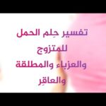 رؤية الحمل للمتزوجة والعزباء والمطلقة والعاقر بالتفصيل تفسير الاحلام | مشاهدة كاملة رؤية الحمل للمتزوجة والعزباء والمطلقة والعاقر بالتفصيل تفسير الاحلام والرؤى لإبن سيرين tefsir ahlam