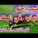 تفسير حلم الذباب في المنام لإبن سيرين قتل الذباب أكل الذباب tefser ahlam