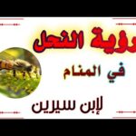 رؤية النحل في المنام لإبن سيرين tefser ahlam تفسير الأحلام والرؤى #تفسير