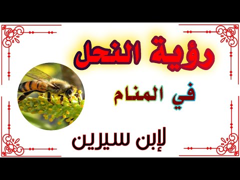 رؤية النحل في المنام لإبن سيرين tefser ahlam تفسير الأحلام والرؤى #تفسير