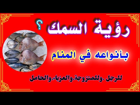 تفسير حلم السمك في المنام للرجال وللمتزوجة والعزباء والحامل بكل أنواعه وأشكاله