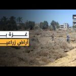 من قلب غزة.. مزارعو القطاع يروون كيف انهارت أراضيهم تحت القصف الإسرائيلي