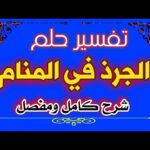 رؤية الجرذ في المنام لإبن سيرين كامل وبالتفصيل tefsir ahlam abn sirin تفسير الأحلام والرؤى