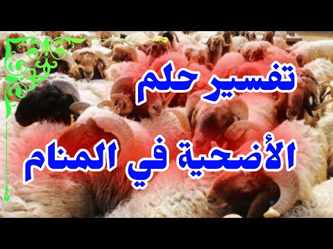 تفسير حلم الأضحية في المنام tefsir ahlamتفسير الأحلام #تفسير_الأحلام #تفسير