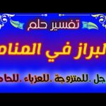 رؤية البراز في المنام للرجل وللمتزوجة والحامل واللعزباء لإبن سيرين tefsir ahlam