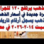 مشاهدة أسعار الذهب اليوم فى مصر عيار 21 سعر الدهب بجودة عالية أسعار الذهب اليوم فى مصر عيار 21 | سعر الدهب عيار ٢١ اليوم السبت 2026/2/14