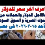 سعر الدولار اليوم أسعار الدولار اليوم اسعار الدولار السوق سعر الدولار اليوم | أسعار الدولار اليوم /اسعار الدولار السوق السوداء اليوم في مصر الأحد 2026/2/15