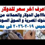 سعر الدولار اليوم | أسعار الدولار اليوم /اسعار الدولار السوق السوداء اليوم في مصر الخميس 2026/2/19