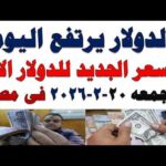 سعر الدولار اليوم | أسعار الدولار اليوم /اسعار الدولار السوق السوداء اليوم في مصر الجمعه 2026/2/20