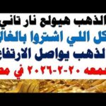 أسعار الذهب اليوم فى مصر عيار 21 | سعر الدهب عيار ٢١ اليوم الجمعه 2026/2/20