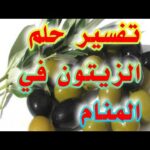 تفسير حلم الزيتون الأخضر والأسود في المنام لابن سيرين tefsir ahlam