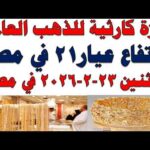 أسعار الذهب اليوم فى مصر عيار 21 سعر الدهب أسعار الذهب اليوم فى مصر عيار 21 | سعر الدهب عيار ٢١ اليوم الأثنين 2026/2/23