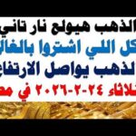 أسعار الذهب اليوم فى مصر عيار 21 سعر الدهب | شاهد اليوم أسعار الذهب اليوم فى مصر عيار 21 | سعر الدهب عيار ٢١ اليوم الثلاثاء 2026/2/24