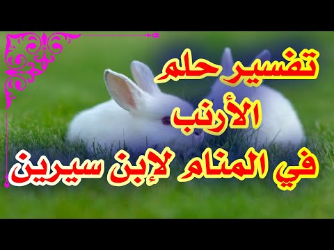 تفسير حلم الأرنب في المنام للرجل والمتزوجة والحامل وللعزباء لإبن سيرين tefsir ahlam
