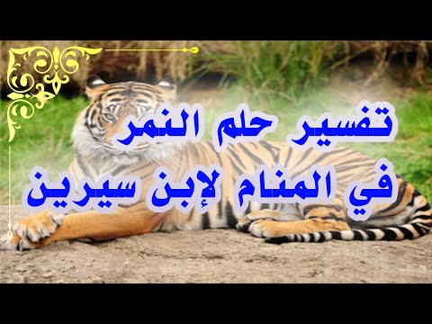 تفسير حلم النمر في المنام  للمتزوجة والحامل والعزباء لإبن سيرين tefsir ahlam