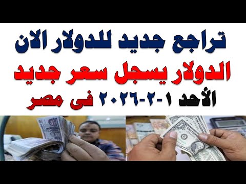 سعر الدولار اليوم | أسعار الدولار اليوم /اسعار الدولار السوق السوداء اليوم في مصر الأحد 2026/2/1