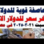 سعر الدولار اليوم | أسعار الدولار اليوم /اسعار الدولار السوق السوداء اليوم في مصر السبت 2026/3/21