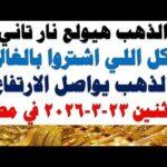 أسعار الذهب اليوم فى مصر عيار 21 | سعر الدهب عيار ٢١ اليوم الاثنين 2026/3/23