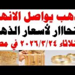 أسعار الذهب اليوم فى مصر عيار 21 | سعر الدهب عيار ٢١ اليوم الثلاثاء 2026/3/24