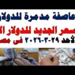 سعر الدولار اليوم | أسعار الدولار اليوم /اسعار الدولار السوق السوداء اليوم في مصر الأحد 2026/3/29