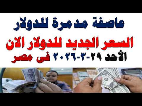 سعر الدولار اليوم | أسعار الدولار اليوم /اسعار الدولار السوق السوداء اليوم في مصر الأحد 2026/3/29