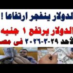 سعر الدولار اليوم أسعار الدولار اليوم اسعار الدولار السوق | مشاهدة كاملة سعر الدولار اليوم | أسعار الدولار اليوم /اسعار الدولار السوق السوداء اليوم في مصر الأحد 2026/3/29