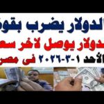 سعر الدولار اليوم أسعار الدولار اليوم اسعار الدولار السوق | مشاهدة كاملة سعر الدولار اليوم | أسعار الدولار اليوم /اسعار الدولار السوق السوداء اليوم في مصر الأحد 2026/3/1
