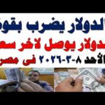 مشاهدة سعر الدولار اليوم أسعار الدولار اليوم اسعار الدولار السوق بجودة عالية سعر الدولار اليوم | أسعار الدولار اليوم /اسعار الدولار السوق السوداء اليوم في مصر الأحد 2026/3/8