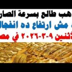 أسعار الذهب اليوم فى مصر عيار 21 سعر الدهب أسعار الذهب اليوم فى مصر عيار 21 | سعر الدهب عيار ٢١ اليوم الأثنين 2026/3/9