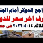 سعر الدولار اليوم أسعار الدولار اليوم اسعار الدولار السوق | مشاهدة كاملة سعر الدولار اليوم | أسعار الدولار اليوم /اسعار الدولار السوق السوداء اليوم في مصر الثلاثاء 2026/4/14