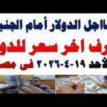 سعر الدولار اليوم | أسعار الدولار اليوم /اسعار الدولار السوق السوداء اليوم في مصر الأحد 2026/4/19