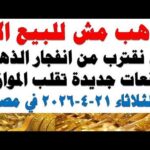 أسعار الذهب اليوم فى مصر عيار 21 سعر الدهب – الحلقة الكاملة أسعار الذهب اليوم فى مصر عيار 21 | سعر الدهب عيار ٢١ اليوم الثلاثاء 2026/4/21
