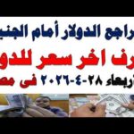 سعر الدولار اليوم | أسعار الدولار اليوم /اسعار الدولار السوق السوداء اليوم في مصر الثلاثاء 2026/4/28