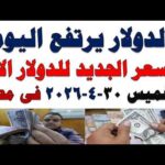 سعر الدولار اليوم | أسعار الدولار اليوم /اسعار الدولار السوق السوداء اليوم في مصر الخميس 2026/4/30