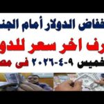 سعر الدولار اليوم | أسعار الدولار اليوم /اسعار الدولار السوق السوداء اليوم في مصر الخميس 2026/4/9
