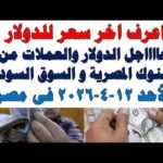 سعر الدولار اليوم | أسعار الدولار اليوم /اسعار الدولار السوق السوداء اليوم في مصر الأحد 2026/4/12