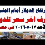 سعر الدولار اليوم | أسعار الدولار اليوم /اسعار الدولار السوق السوداء اليوم في مصر الأحد 2026/5/17