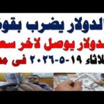 سعر الدولار اليوم | أسعار الدولار اليوم /اسعار الدولار السوق السوداء اليوم في مصر الثلاثاء 2026/5/19