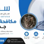 مكافحة العتة جدة: دليل عملي للوقاية من عتة الملابس والسجاد مقال جديد من جوجل دوتس