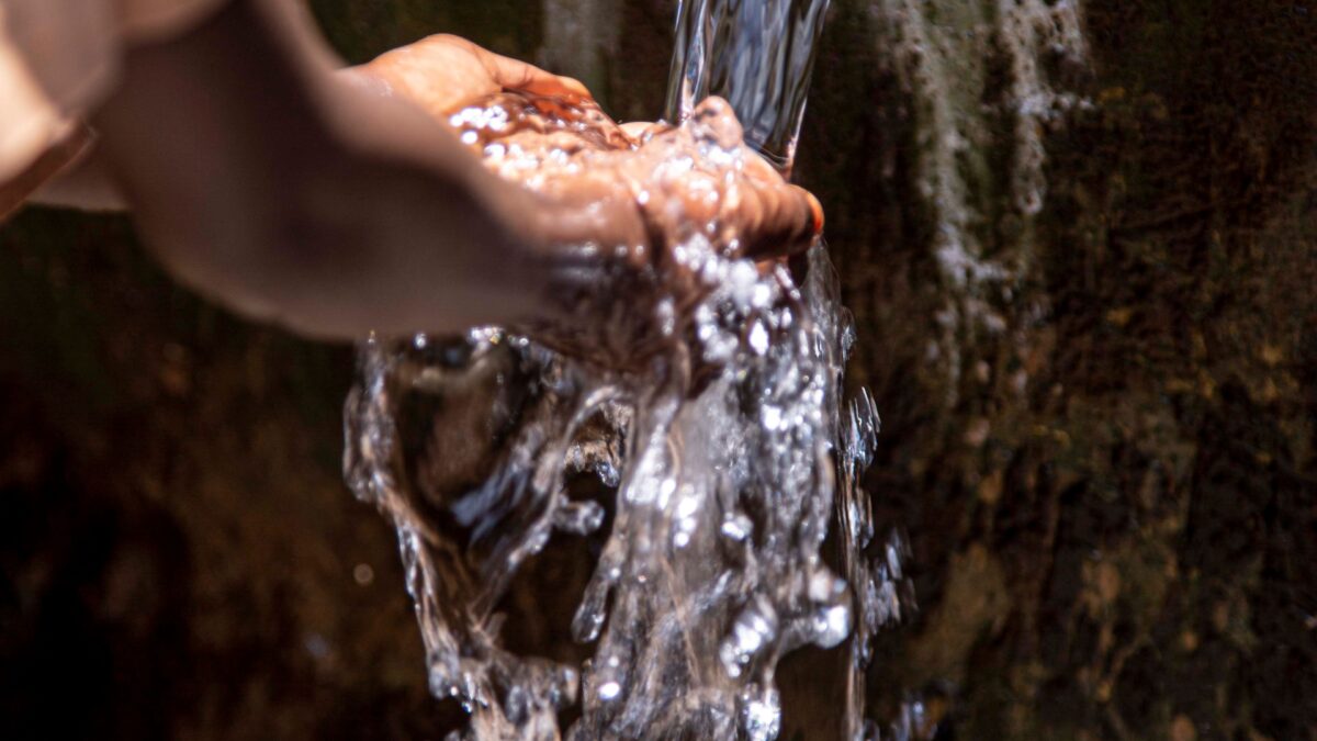 الصحة المنزلية في القصيم: كيف تجمع بين مياه نظيفة وبيئة أقل عرضة للحشرات؟